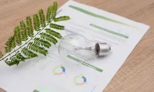 Gałązka paproci i żarówka na papierze z wykresami, symbolizujące ekologiczne c21 taryfy i oszczędność energii.