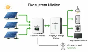 Schemat pokazuje, jak obliczyć autokonsumpcję: panele słoneczne, falownik, magazyn energii i urządzenia domowe. Tylko 18% energii oddano do sieci.