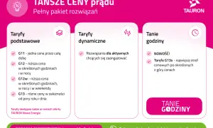Porównanie taryf prądu: podstawowe, dynamiczne i tanie godziny. Taryfa G13s to nowość z wieloma strefami cenowymi.