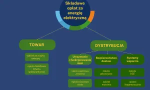 Schemat pokazuje, co ile płaci się prąd: opłaty za towar (energię) i dystrybucję (utrzymanie sieci, bezpieczeństwo, wsparcie).