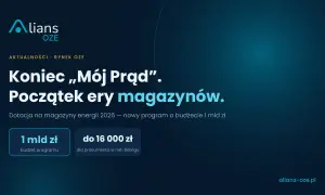 Koniec programu "Mój Prąd", początek ery magazynów energii. Dotacja 1 mld zł na magazyny, do 16 000 zł dla prosumenta. Pytania i odpowiedzi.