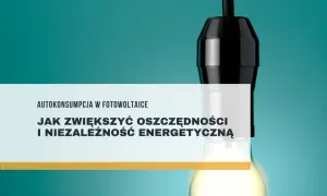 Żarówka symbolizuje nadwyżkę prądu z fotowoltaiki. Dowiedz się, jak zwiększyć oszczędności i niezależność energetyczną.