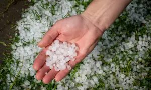 Dłoń trzyma gradobicie, które spadło na trawę. To przypomina o ryzyku, jakie grad stanowi dla paneli fotowoltaicznych.