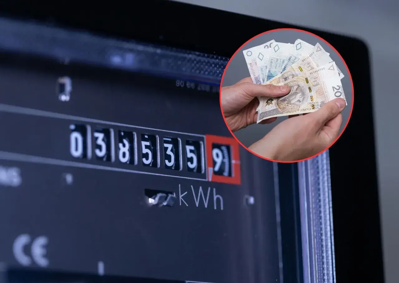 Duże zużycie prądu w domu przyczyny: licznik energii i polskie banknoty.